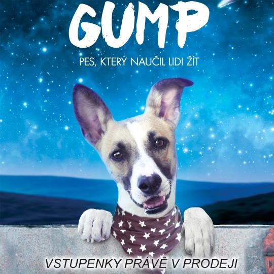 Gump: Pes, který naučil lidi žít 1