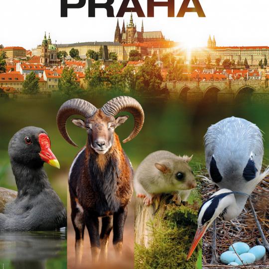 Planeta Praha 1