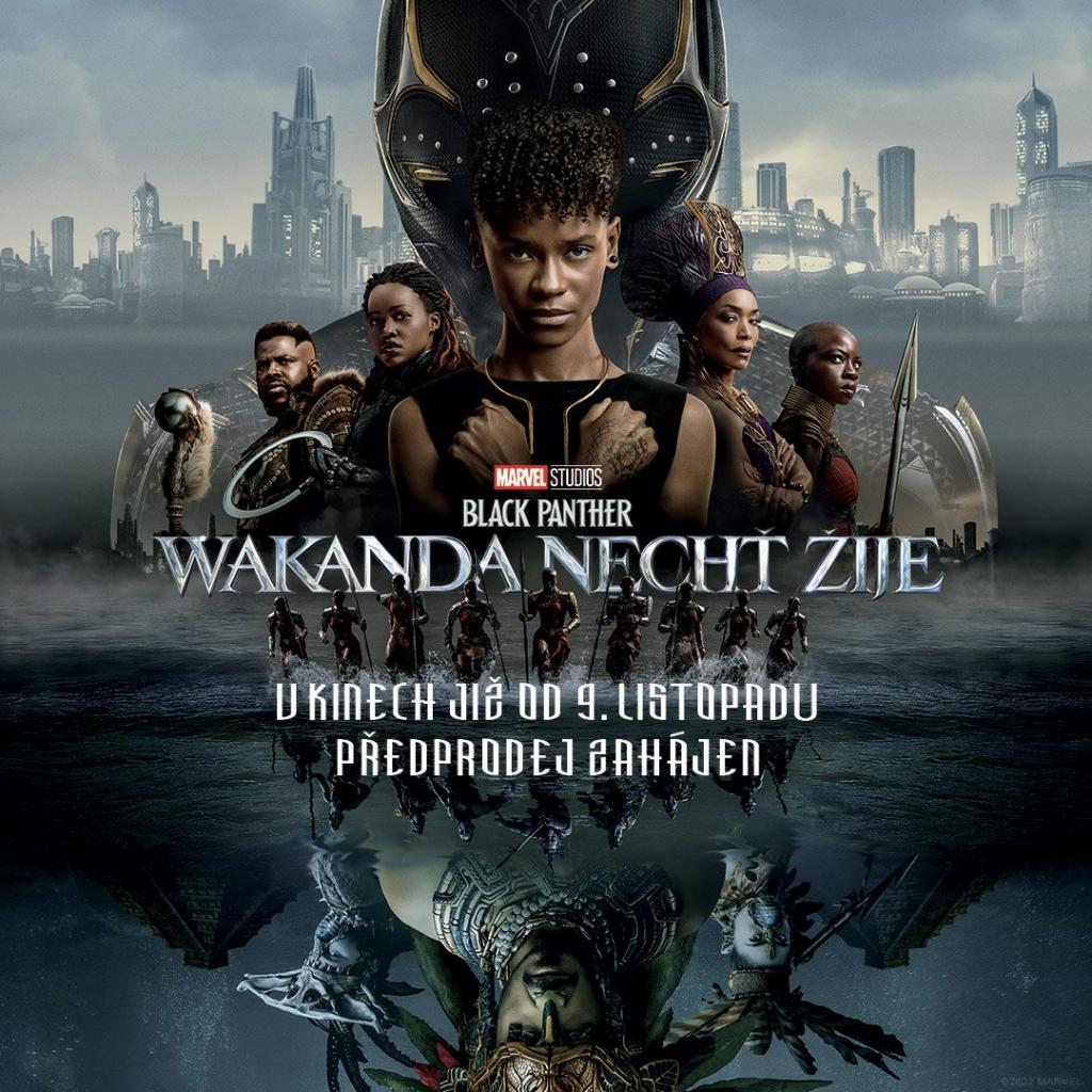 Black Panther: Wakanda nechť žije (3D) 1